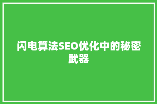 闪电算法SEO优化中的秘密武器