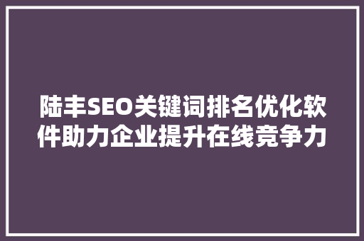 陆丰SEO关键词排名优化软件助力企业提升在线竞争力