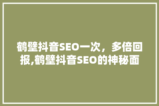 鹤壁抖音SEO一次，多倍回报,鹤壁抖音SEO的神秘面纱