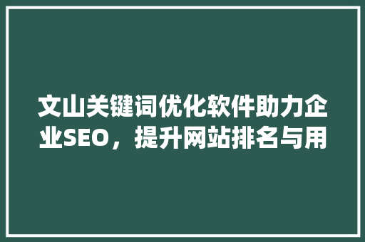 文山关键词优化软件助力企业SEO，提升网站排名与用户体验_文山关键词优化软件