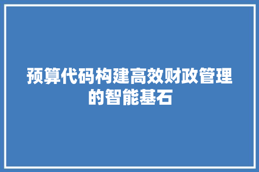 预算代码构建高效财政管理的智能基石