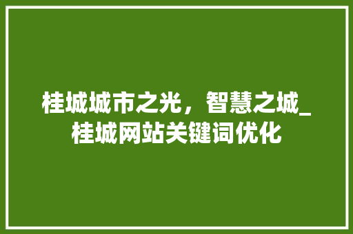 桂城城市之光，智慧之城_桂城网站关键词优化