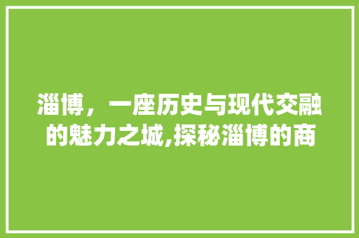 淄博，一座历史与现代交融的魅力之城,探秘淄博的商海风华_淄博关键词优化商家