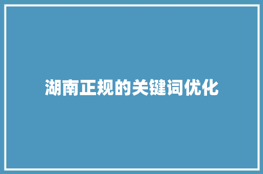 湖南正规的关键词优化