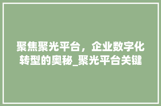 聚焦聚光平台，企业数字化转型的奥秘_聚光平台关键词优化