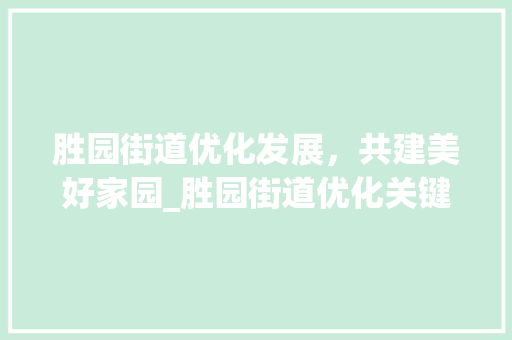 胜园街道优化发展，共建美好家园_胜园街道优化关键词