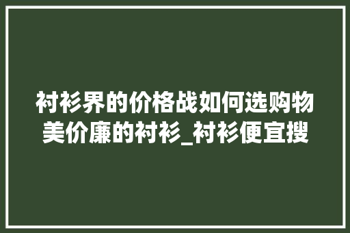 衬衫界的价格战如何选购物美价廉的衬衫_衬衫便宜搜索关键词优化