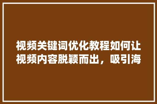 视频关键词优化教程如何让视频内容脱颖而出，吸引海量流量_视频关键词优化教程下载