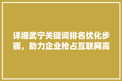 详细武宁关键词排名优化步骤，助力企业抢占互联网高地_武宁关键词排名优化