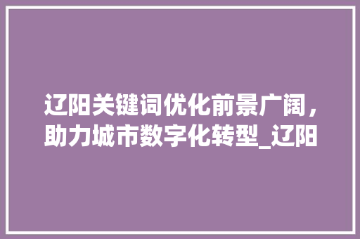 辽阳关键词优化前景广阔，助力城市数字化转型_辽阳关键词优化前景