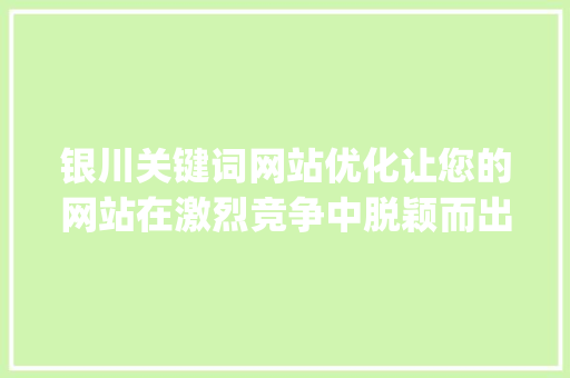 银川关键词网站优化让您的网站在激烈竞争中脱颖而出_银川关键词网站优化