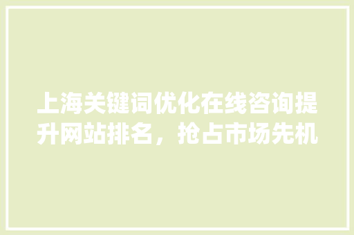 上海关键词优化在线咨询提升网站排名，抢占市场先机_上海关键词优化在线咨询