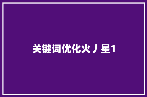 关键词优化火丿星1