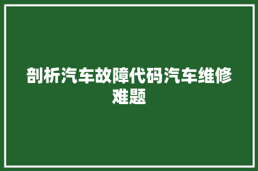 剖析汽车故障代码汽车维修难题  第1张