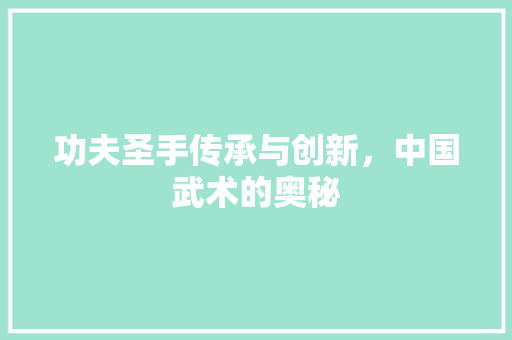 功夫圣手传承与创新，中国武术的奥秘