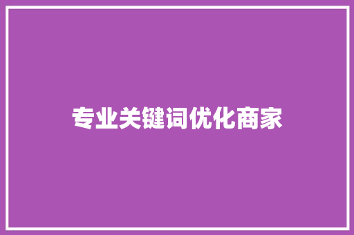 专业关键词优化商家