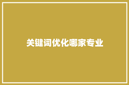 关键词优化哪家专业