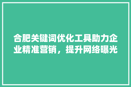 合肥关键词优化工具助力企业精准营销，提升网络曝光度_合肥关键词优化工具