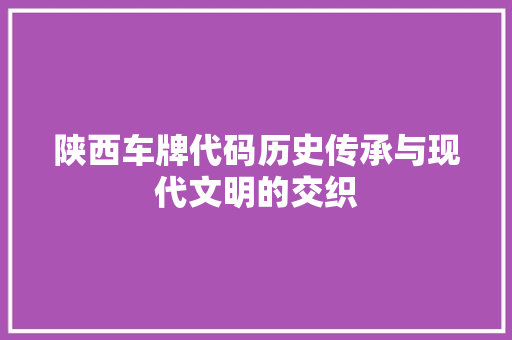 陕西车牌代码历史传承与现代文明的交织