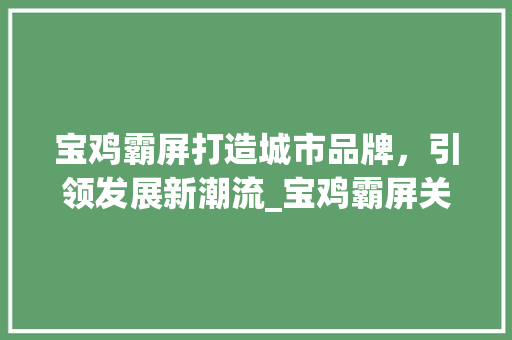 宝鸡霸屏打造城市品牌，引领发展新潮流_宝鸡霸屏关键词优化