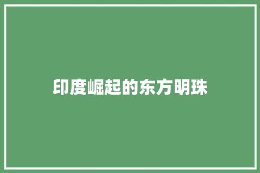 印度崛起的东方明珠