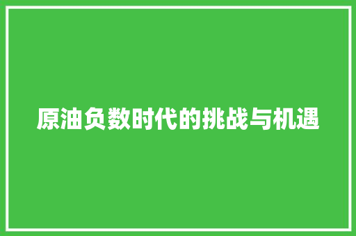 原油负数时代的挑战与机遇