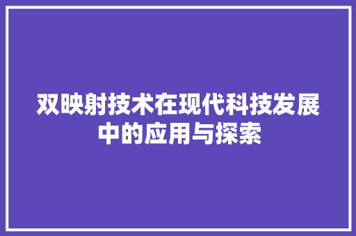 双映射技术在现代科技发展中的应用与探索