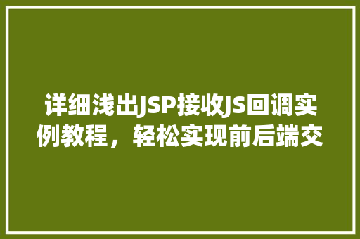 详细浅出JSP接收JS回调实例教程，轻松实现前后端交互