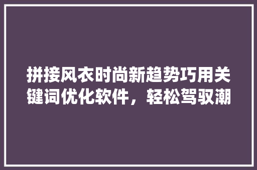 拼接风衣时尚新趋势巧用关键词优化软件，轻松驾驭潮流_拼接风衣关键词优化软件