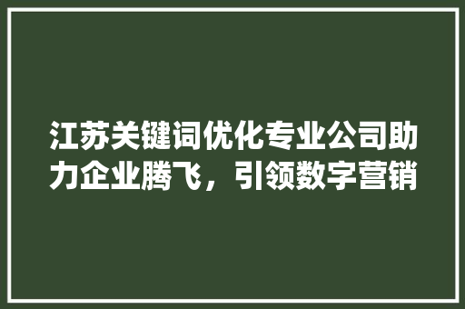 江苏关键词优化专业公司助力企业腾飞，引领数字营销新篇章_江苏关键词优化专业公司