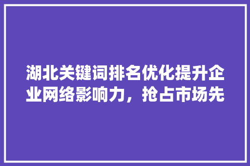 湖北关键词排名优化提升企业网络影响力，抢占市场先机_湖北关键词排名优化价值