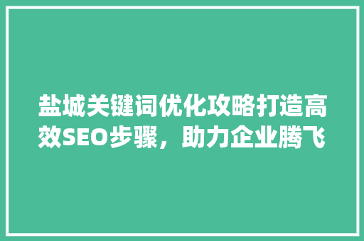 盐城关键词优化攻略打造高效SEO步骤，助力企业腾飞_盐城关键词优化如何操作