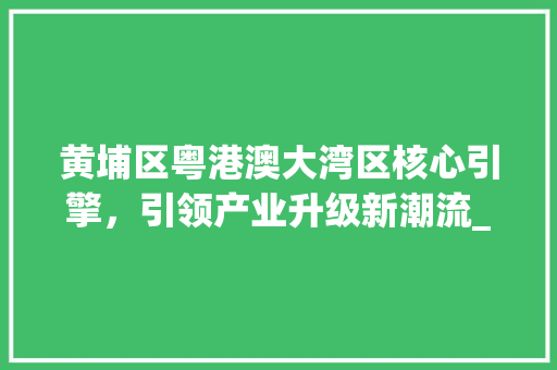 黄埔区粤港澳大湾区核心引擎，引领产业升级新潮流_黄埔区关键词优化招商