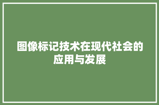 图像标记技术在现代社会的应用与发展