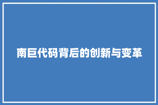 南巨代码背后的创新与变革