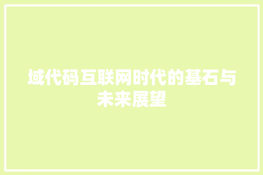 域代码互联网时代的基石与未来展望