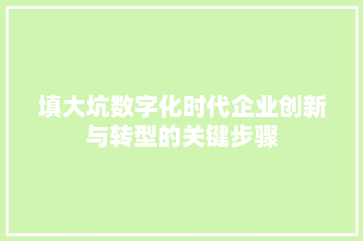 填大坑数字化时代企业创新与转型的关键步骤