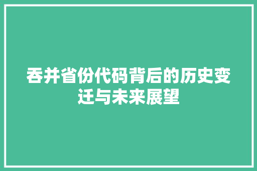 吞并省份代码背后的历史变迁与未来展望