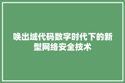 唤出域代码数字时代下的新型网络安全技术  第1张