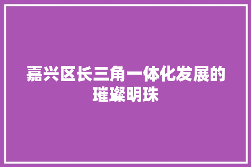嘉兴区长三角一体化发展的璀璨明珠