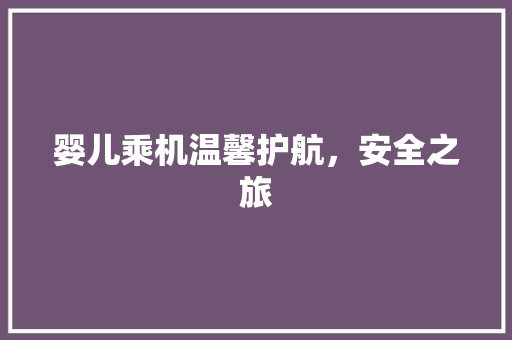 婴儿乘机温馨护航，安全之旅