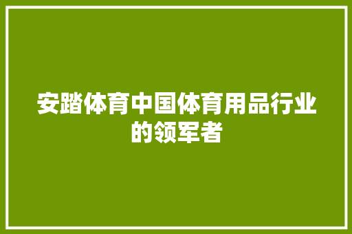 安踏体育中国体育用品行业的领军者