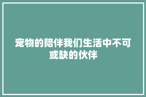 宠物的陪伴我们生活中不可或缺的伙伴