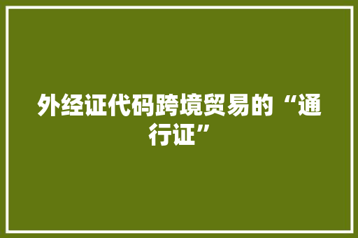 外经证代码跨境贸易的“通行证”
