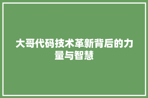 大哥代码技术革新背后的力量与智慧