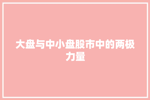 大盘与中小盘股市中的两极力量