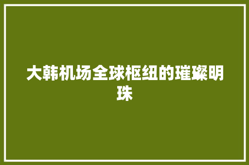 大韩机场全球枢纽的璀璨明珠