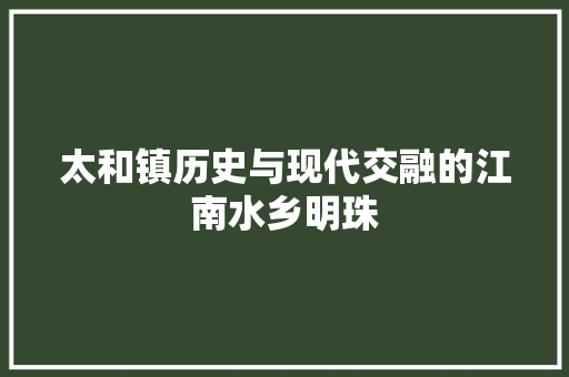 太和镇历史与现代交融的江南水乡明珠