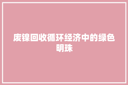 废镍回收循环经济中的绿色明珠