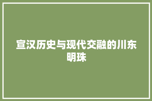宣汉历史与现代交融的川东明珠